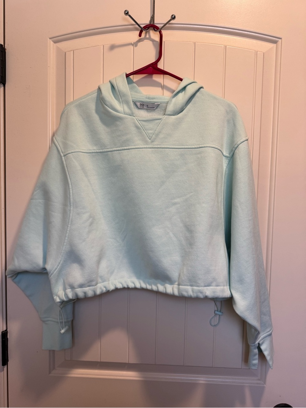 DSG Women’s Light teal blue Cropped Hoodie